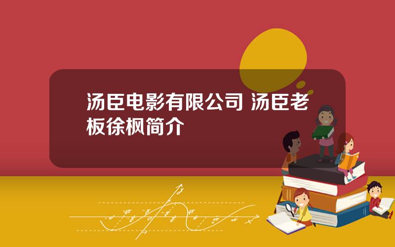 汤臣电影有限公司 汤臣老板徐枫简介